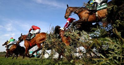 Where did my horse finish in the Grand National 2022 at Aintree?