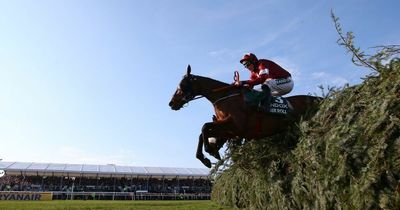 Grand National 2022 fallers - which horses failed to finish Aintree race