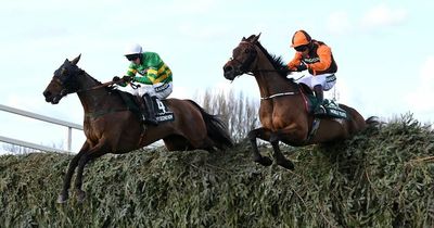 How many horses died at Grand National 2022?