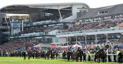 Grand National 2022 fallers: Which horses failed to finish Aintree race?
