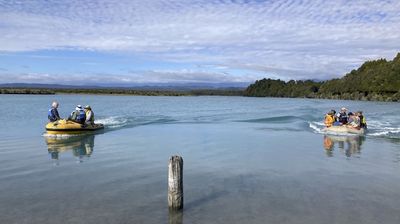 Gorsebusters of Ōkārito Lagoon