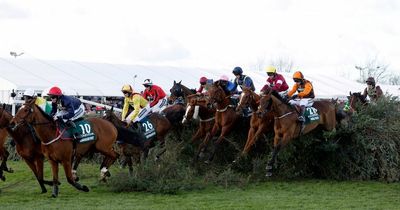 Third Grand National 2022 horse dies after Discorama suffers 'untreatable' injury during race