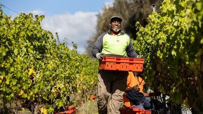 Grab a bottle while you can, some 2022 Tassie wines will be in short supply