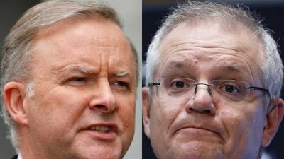 Morrison and Albanese are facing off in the election. This is what the polls have to say — and what to look for next