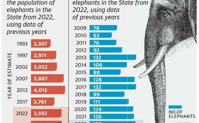 Elephant population, deaths projected to increase in Tamil Nadu