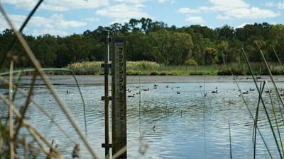 Perth 'sleepwalking into browner, hotter' future as superficial aquifer supply dwindles