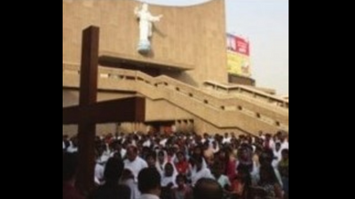 Tough search for palm trees in Lucknow