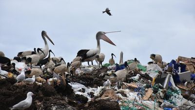 Is it fair to turn regional areas into a 'dumping ground' for Sydney's rubbish?