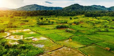 Agriculture is linked with malaria in complex ways: evidence from 16 African countries