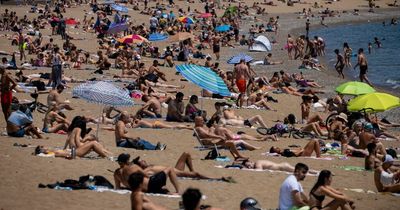 Barcelona announces smoking ban on beaches from July after pilot project