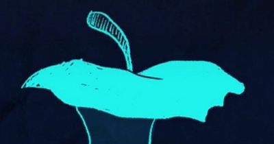 Clever optical illusion reveals if you're happy or not - what do you see?