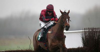 Eclair Surf second horse to die following injuries sustained in Grand National