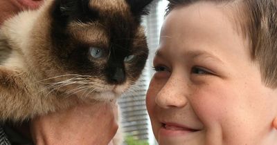 Ukraine cat reunited with owners in UK after 2,500 mile journey across five countries