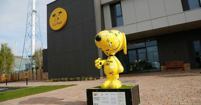 Four sculptures removed from Snoopy trail due to vandalism