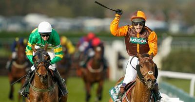 Amateur Grand National jockey Sam Waley-Cohen credits late brother for inspiring his win