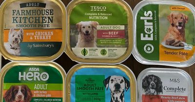 I compared six supermarket dog foods to find the best - and one looked like pie filling