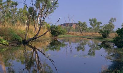 ‘Water isn’t endless’: the controversial plan to extend irrigated agriculture in NT’s tropical savannah