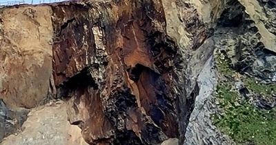 Mysterious face appears on UK cliff after landslide baffling locals and tourists