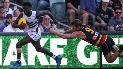 AFL: Fremantle Dockers and West Coast Eagles form still unclear four rounds into season