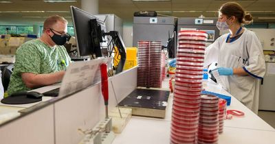 Man in his 60s dies with COVID in ACT