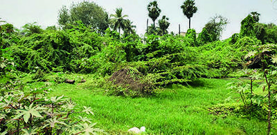 Misuse of central govt plots riles residents