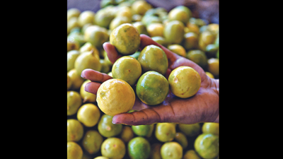 Lucknow: Menu turns sour as lemon prices soar to all-time high