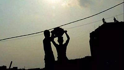 Over 1.18 crore wagers in Rajasthan registered on e-SHRAM portal