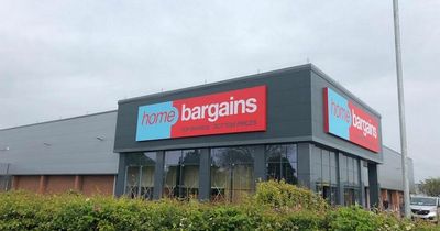 Home Bargains shoppers wowed by ‘dreamy’ outdoor day bed