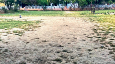Green cover is shrinking, garbage being dumped in Greater Noida parks