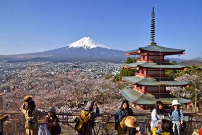 Mt Fuji viewing spot attracts visitors as cherry blossoms bloom