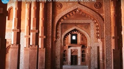 WHO to set up global centre for traditional medicine in India’s Gujarat