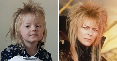 Toddler ends up looking like David Bowie in Labyrinth after DIY haircut