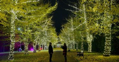 Christmas At Bute Park light trail is returning to Cardiff for 2022