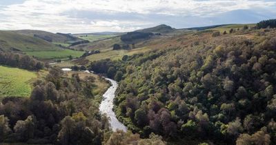 New Scottish rewilding firm secures £7.5m from 50 new shareholders