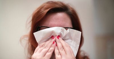 Met Office says pollen count on the rise this week in warning to hay fever sufferers