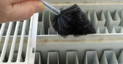 Mrs Hinch fans share spring cleaning tricks for dusty radiators