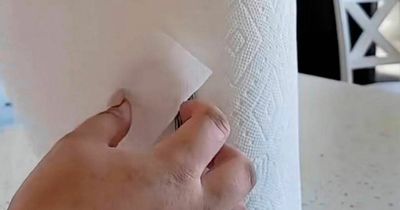 TikTok user shares 'hidden' paper towel holder feature and people are blown away