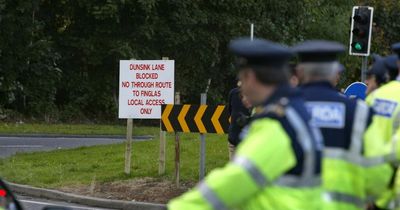 Sick horse found dead in north Dublin