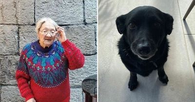 Ukrainian grandmother, 86, reunited with dog after being forced to separate in war