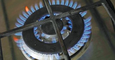 Who owns British Gas, EDF and all the major energy suppliers you pay for gas and electricity?