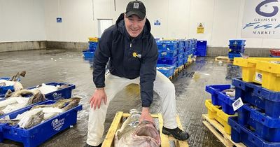 'You're gonna need a bigger boat' - monster 6ft cod landed in seaside town