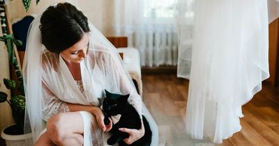 Bride refuses to let niece be flower girl at wedding - as her cat takes role instead