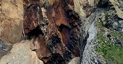 Mysterious face appears in cliff after landslide - but some ask if it is mythical giant from past