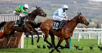 Honeysuckle AND Constitution Hill set to go head-to-head in blockbuster Punchestown meet this month