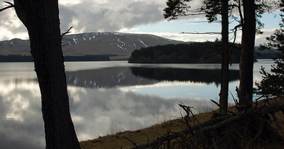 Popular Midlothian reservoir parking ban amid claims wildlife 'chased and hurt'