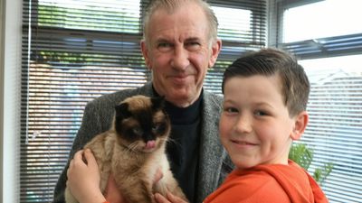 Cat Shot At And Shelled In War-Torn Ukraine Travels Over 2,500 Miles To Be Reunited With Family
