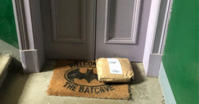 Bungling Glasgow parcel thief steals 1kg of live mealworms after swiping package from bat rescue