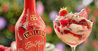 Baileys launch new summer flavour dessert fans will love