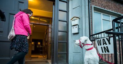 NI election 2022: Can you take your dog to the polling station?