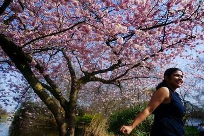 London to bask in scorching Easter weather as temperatures hit 21C